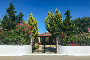 SEA ZOE, Summer House